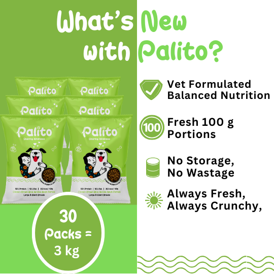 Palito Adult Large & Giant Formula
