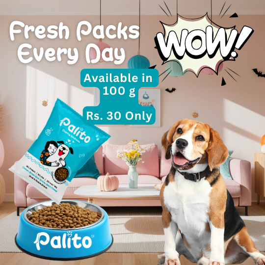 Palito Adult Small & Medium Breed Dog Food