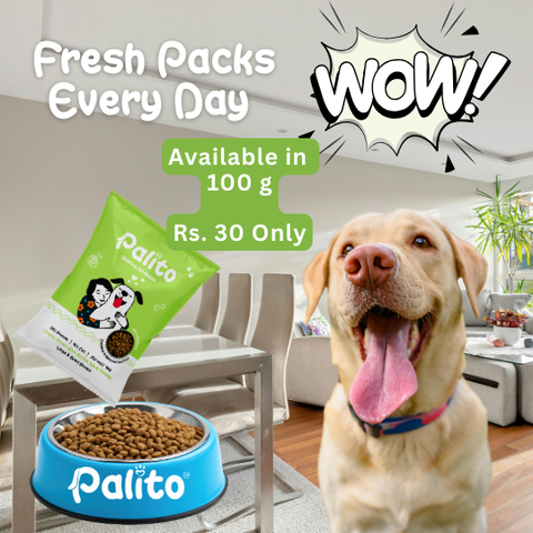 Palito Adult Large & Giant Formula