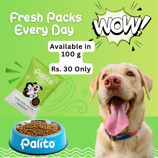 Palito Adult Large & Giant Formula