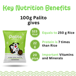Palito Adult Large & Giant Formula