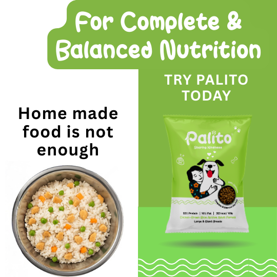 Palito Adult Large & Giant Formula